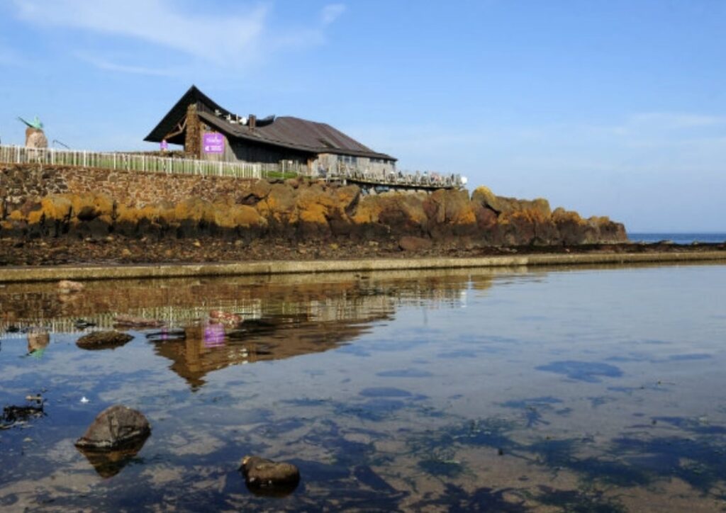 Dundee Science Festival Dundee Science Centre